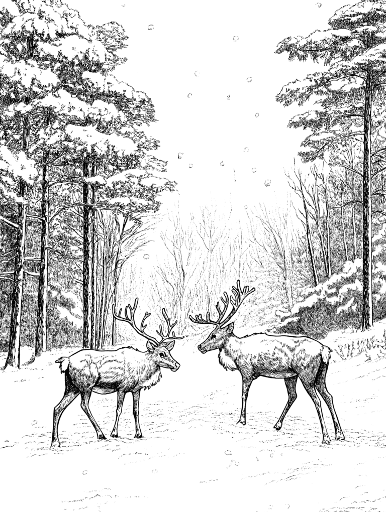 Majestic Winter Encounter of Two Deer in a Tranquil Snowy Forest Scene with Pine Trees and Gently Falling Snowflakes Adult Christmas Printable Coloring Pages By Best Printable